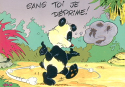 panda couleur